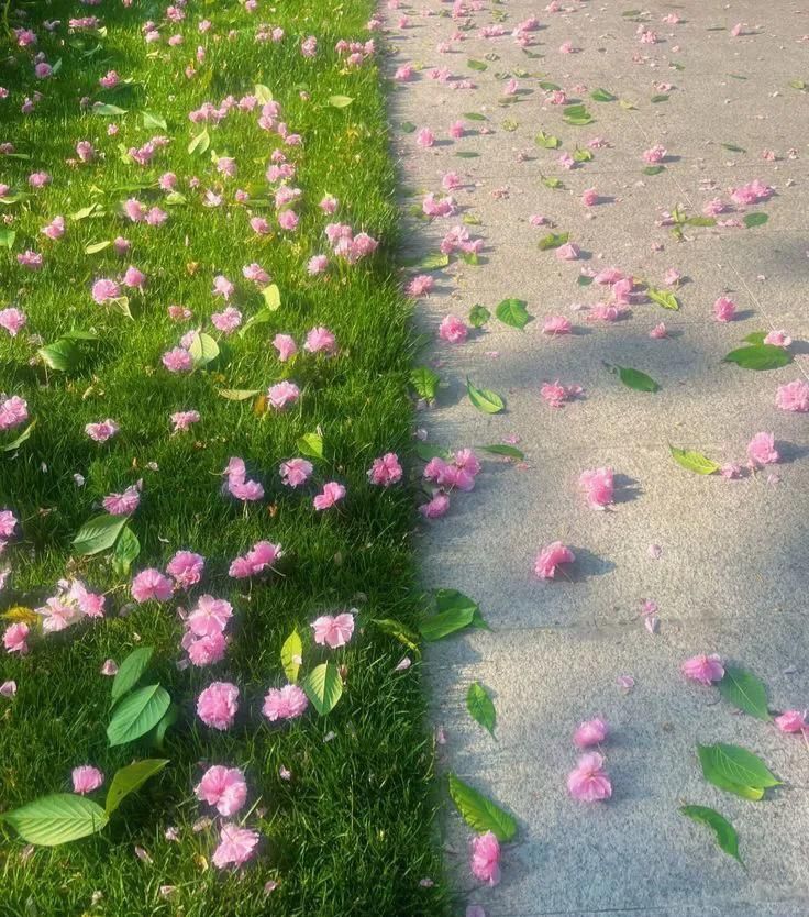 greenvibe's tweet image. 