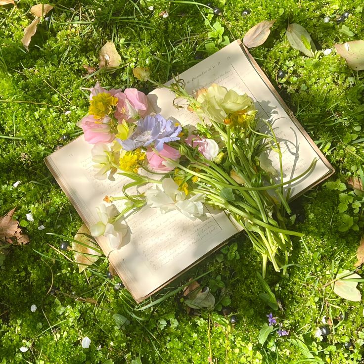 greenvibe's tweet image. 