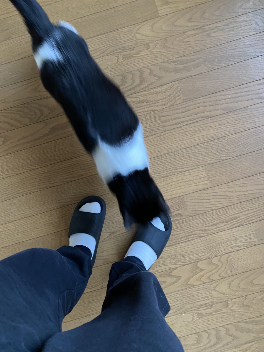 ❁⃘*.゜yu-i.k❁⃘*.゜WORLD すのチル Post by 左 on X: ハッピータックル