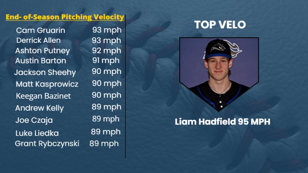 SUNY NIAGARA BASEBALL tweet media