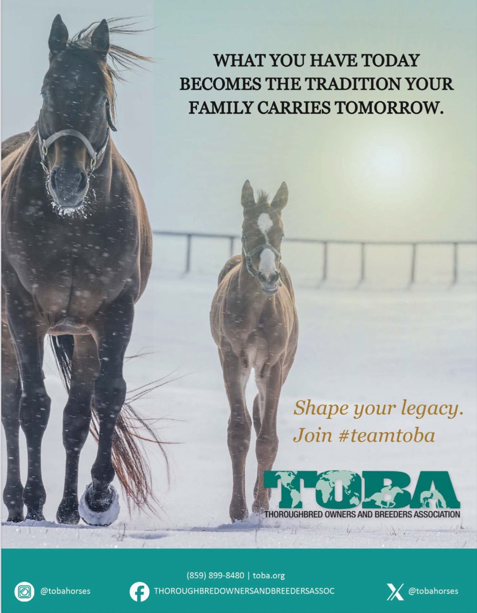 theTDN's tweet photo. What you have today becomes the tradition your family carries tomorrow 🌟
Shape your legacy. Join #TeamTOBA
@TOBAhorses https://t.co/9iJPDDEKTj https://t.co/b7n3sDW2sp