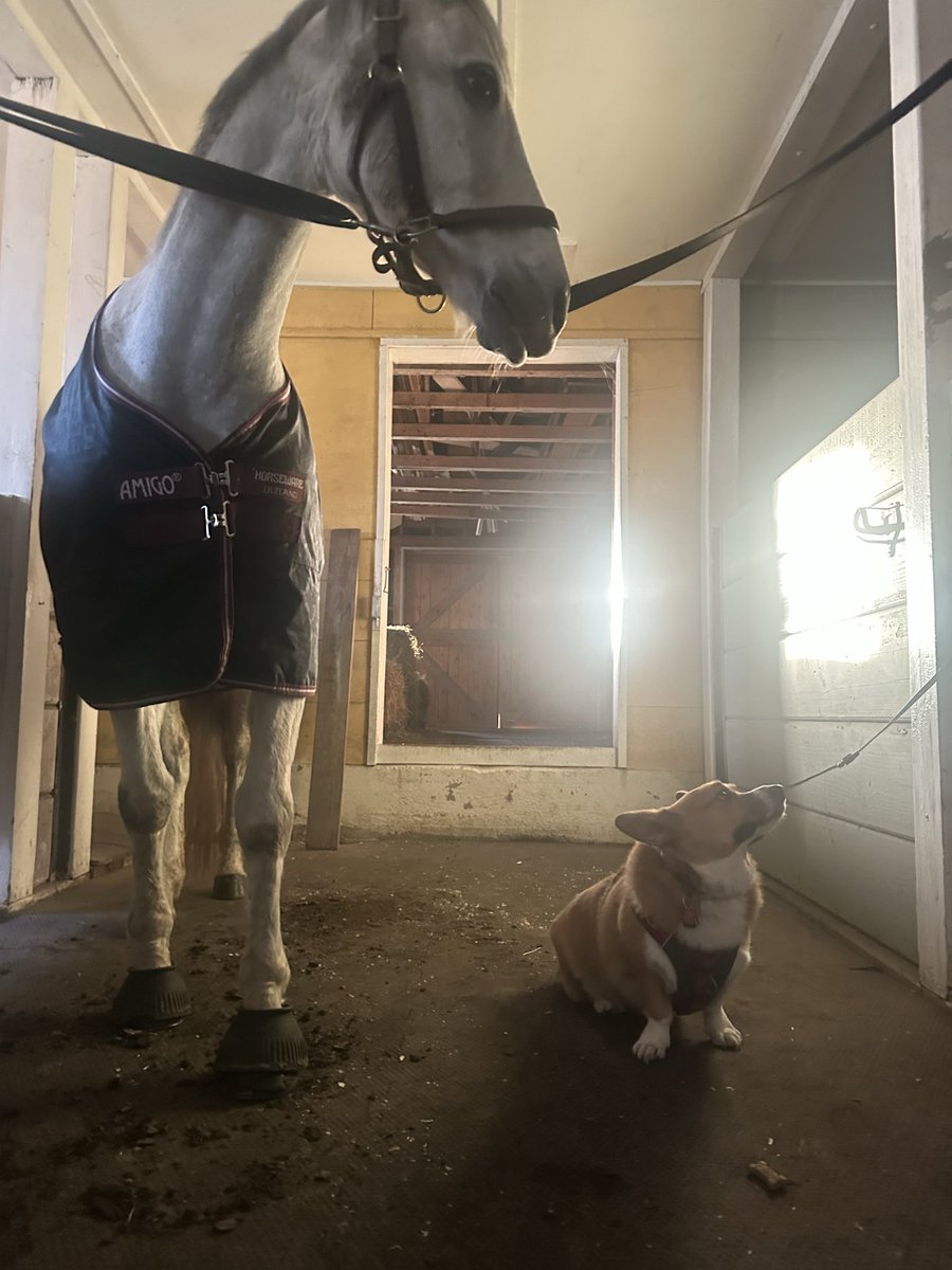 ☀️DeadSquirrel☀️ tweet media