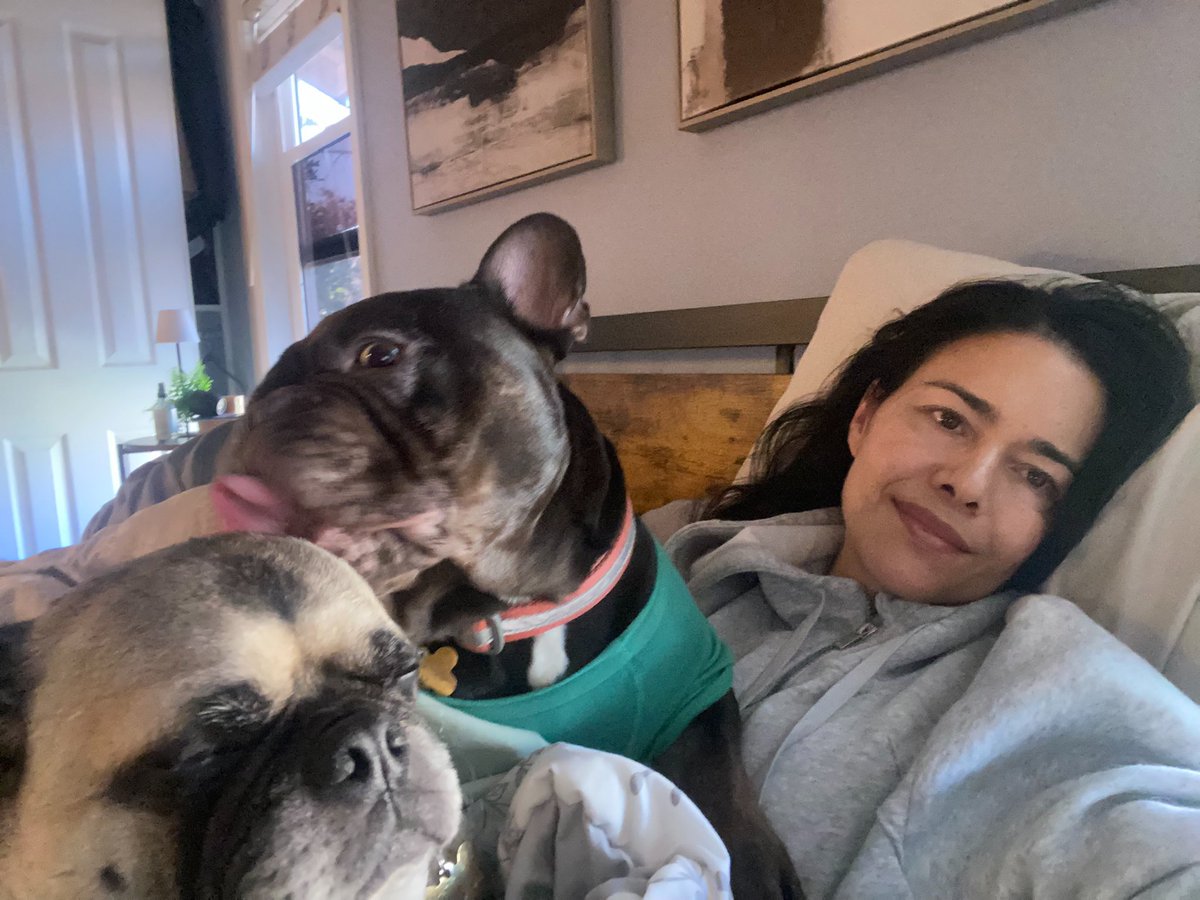 danavespoli's tweet photo. Thankful Thursday with these babies❤️ https://t.co/CpKSahtnlE