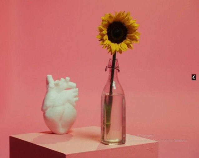 mila_hernandezf's tweet image. NI EN 7 VIDAS
#ALTAFULLAXMILO