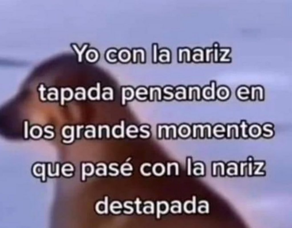 piña sin pizza (@skereunpesado) on Twitter photo 