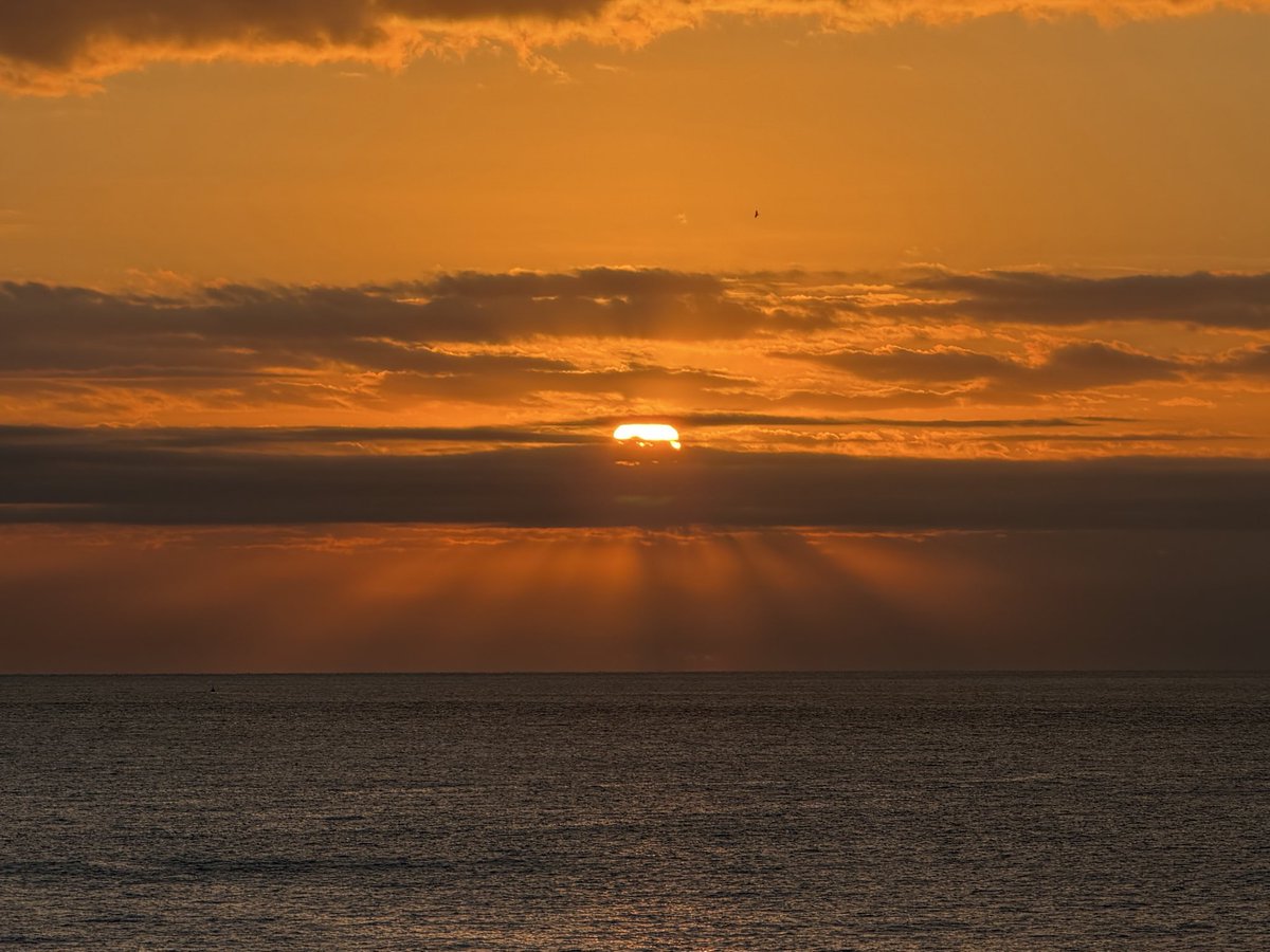 mona_monaou's tweet photo. おはようございます.｡.:*
日の��スタンバイ🌅

今日も健やかにお過ごしください·˖✶ https://t.co/NZhE6c8u5u