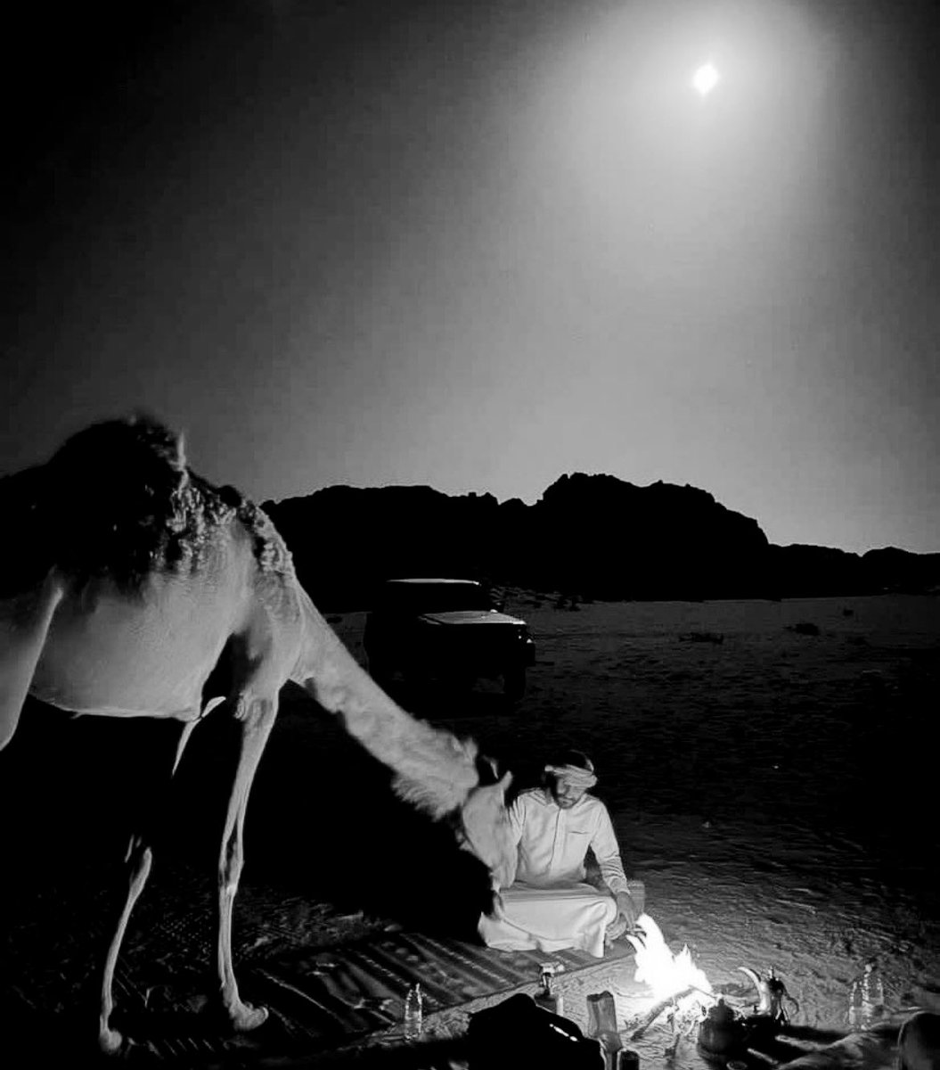 Qhta10ni's tweet photo. أراقب نجوم الليل كني خبير أرصاد
ما خليت نجمً فالسما ما عرفت إسمه https://t.co/iMynrbRL9M