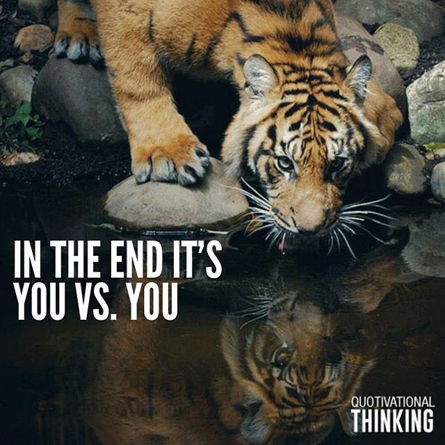 Ozbot (@olivershadbolt) on Twitter photo 