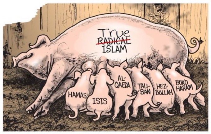 G8eBaZlXgAA4yh7?format=jpg&name=small