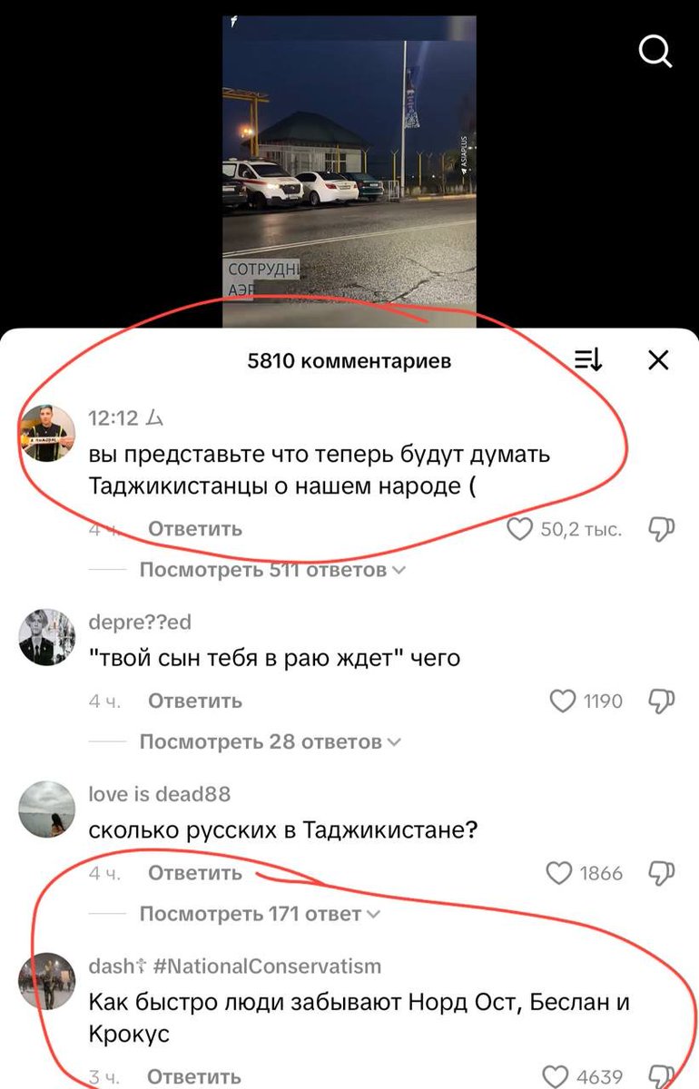 vlad petrov tweet media