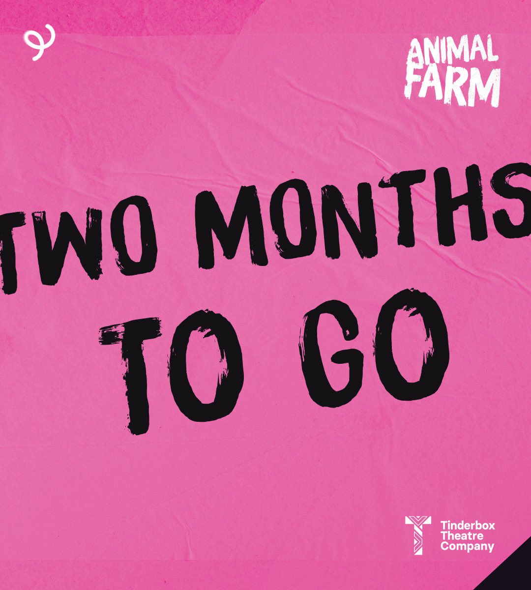 Tinderbox Theatre Company tweet media