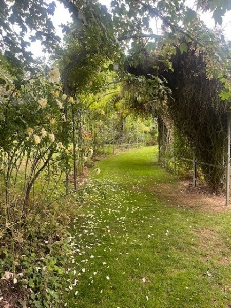 HertfordshirNGS's tweet photo. NEW FOR 2026! Holtsmere End Farm in #Redbourne is a one acre garden divided into “rooms” around a period farmhouse. Discover a listed barn, a front lawn surrounded by peony and overflowing flower beds. Many #roses to delight your eyes and your nose!
👉https://t.co/Yr817lsC85 https://t.co/Ez3QbGpRYY