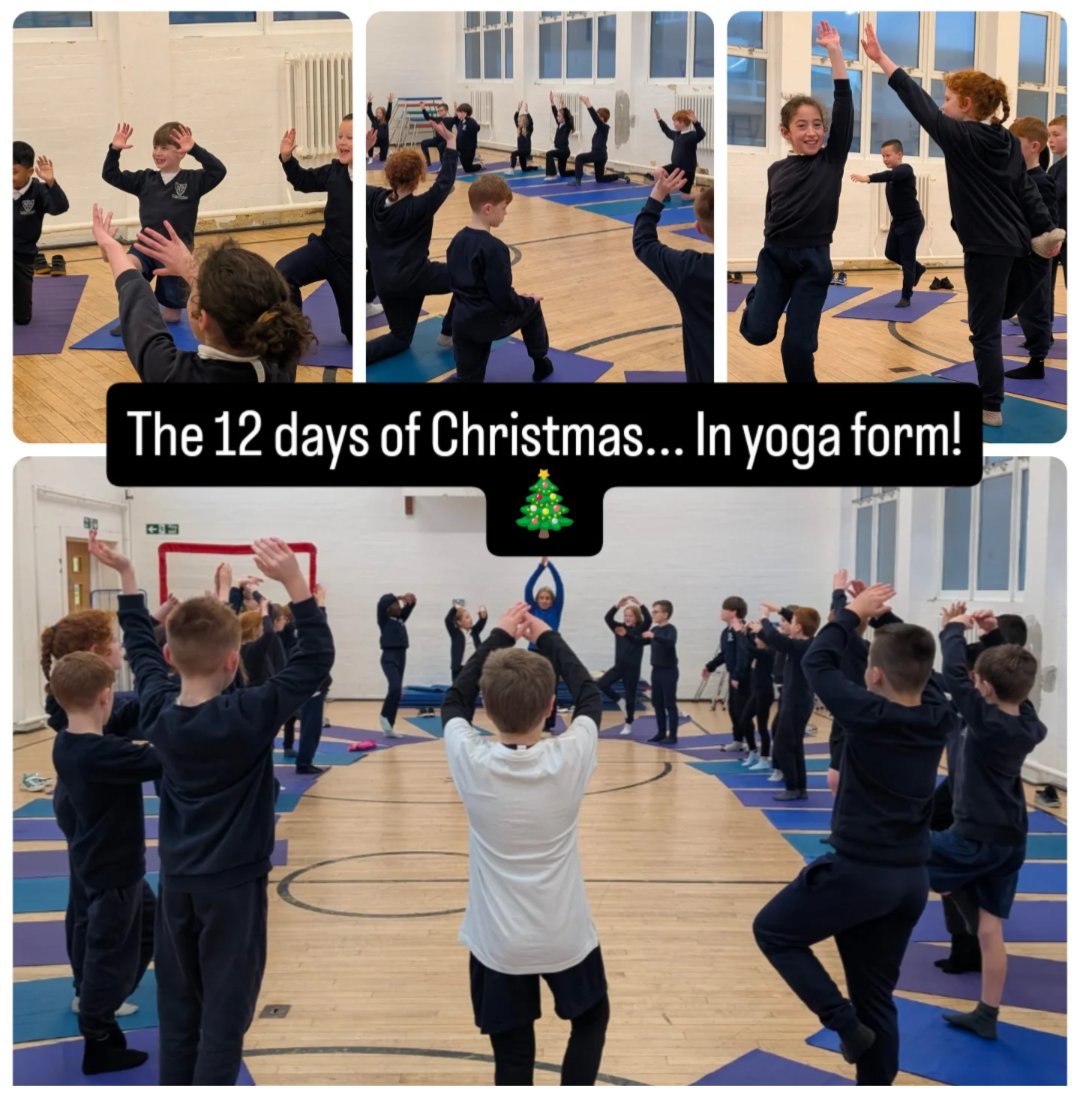 Mr Robinson (4M) tweet media