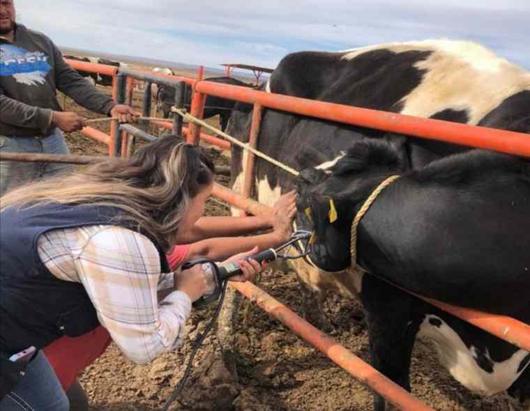Fortalece Gobierno del Estado la #sanidad #agropecuaria en la entidad  arribaelcampo.com.mx/fortalece-gobi…