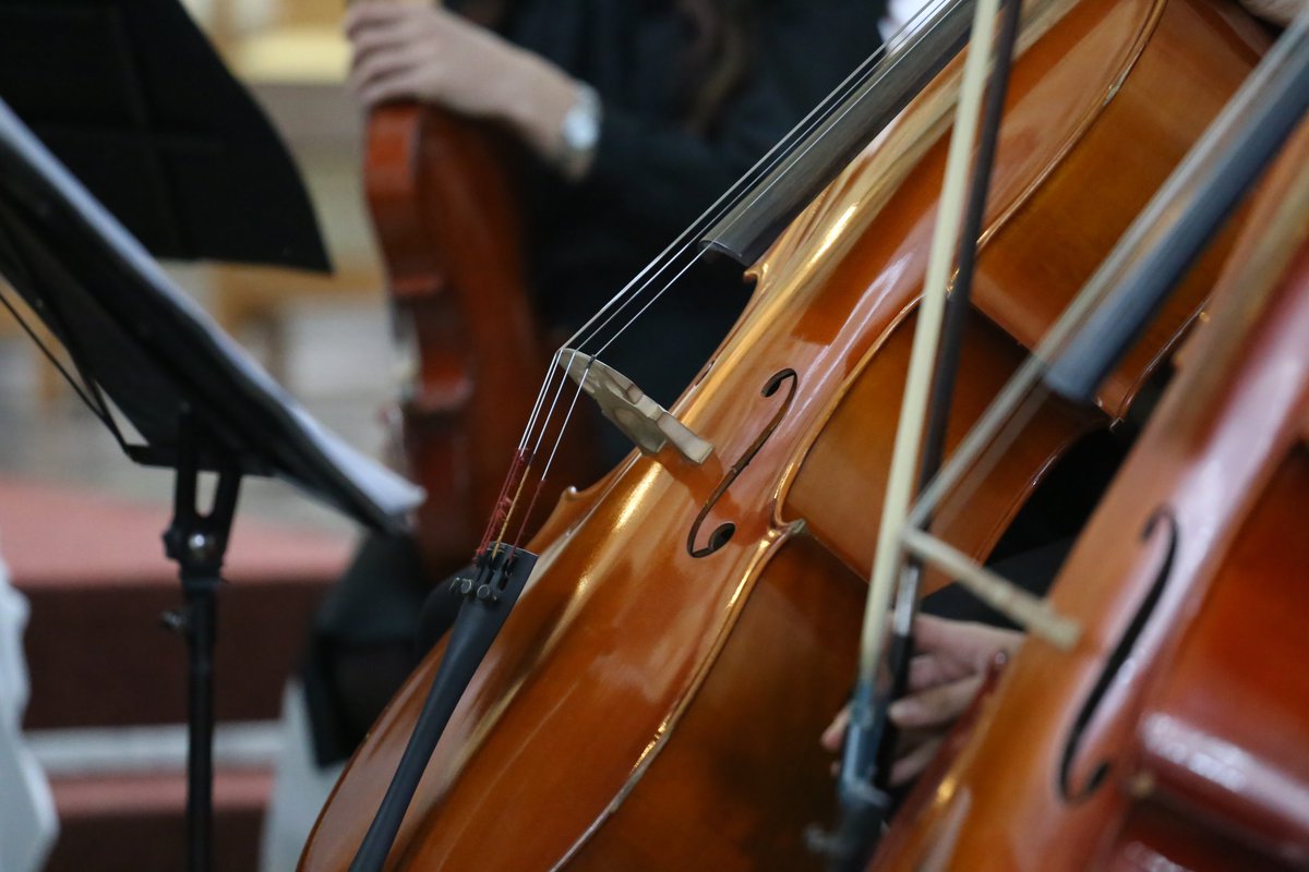 Camerata de Cuerdas de la Escuela Departamental de Música brindará su Concierto de Navidad maldonado.gub.uy/noticias/camer…