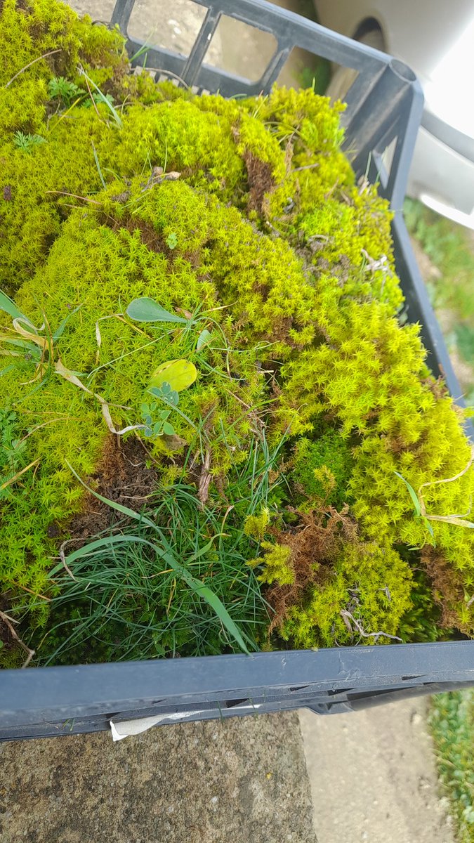 angelo_tar's tweet photo. E presepe sia, farlo mi fa tornare indietro.  In fondo il periodo che eravamo bambini resta il più bello in assoluto. https://t.co/FsjZl3aNJE