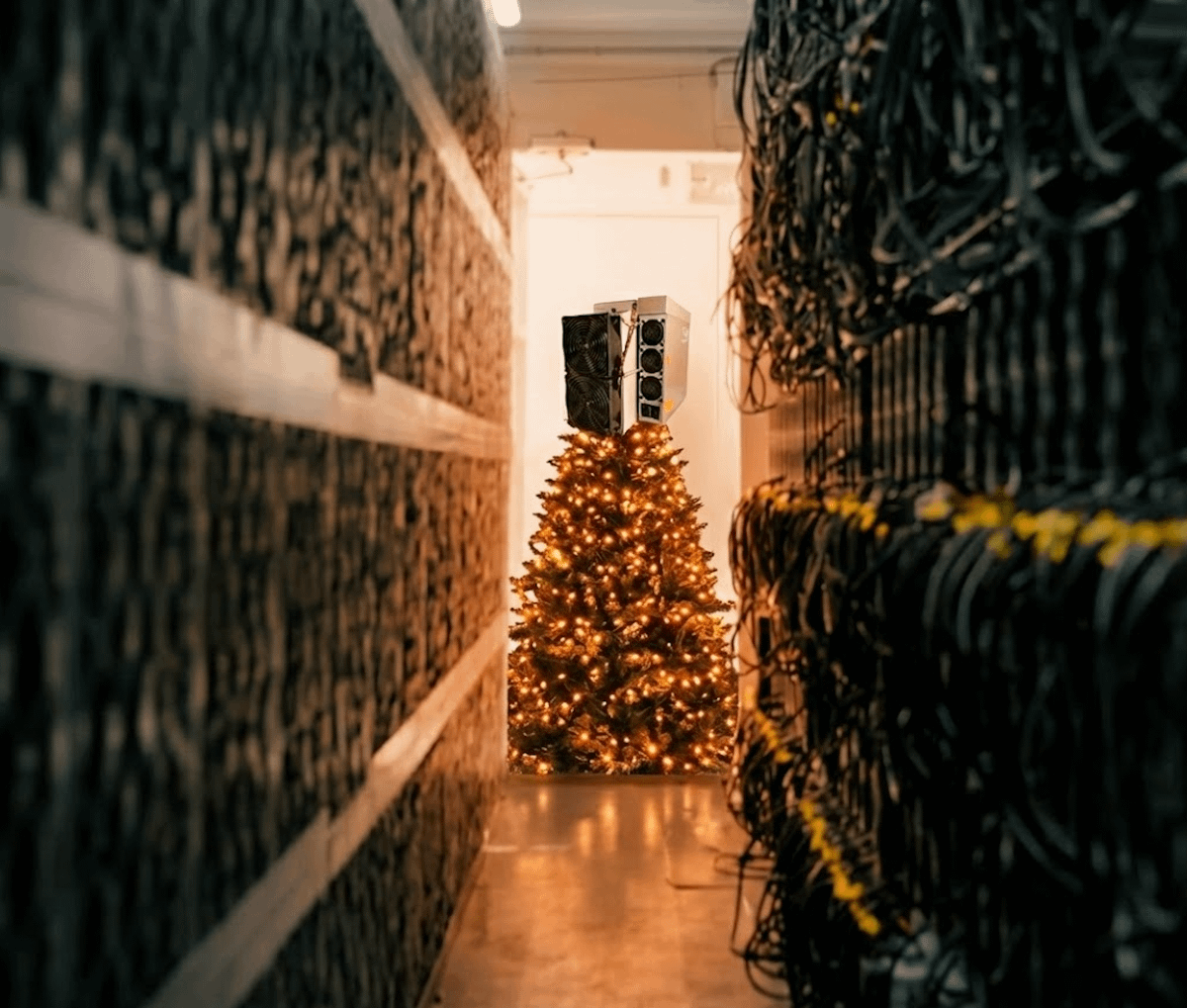 To wrap up 2025, we're giving away not one, but TWO S21+ (225 TH/s) units.

No purchase required.

Two grand prize winners.

This giveaway is designed to do two things:

1) Reward people already thinking clearly about mining

2) Surface high-quality entrants we can actually help