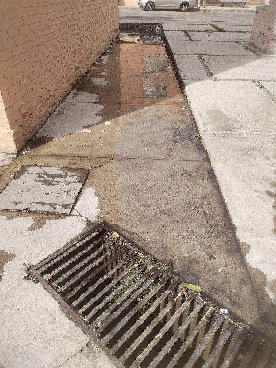 adriansuki0809's tweet photo. @AguadePuebla  Fuga de agua unidad san bartolo sobre calle azumiatla.... Enfrente del edf. H742
Lleva 5 dias así
@PueblaAyto https://t.co/EdX5ho8Z1T