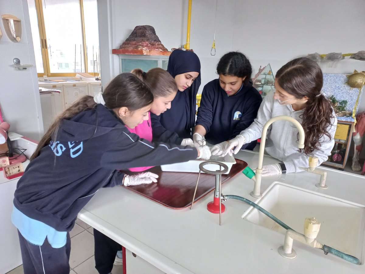 maatouk_amina's tweet image. Check out these surgeons in training! 👩‍⚕️👨‍⚕️ My Grade 7s dove into a chicken wing dissection today to see the skeletal and muscular systems in action. There’s nothing like seeing how tendons and muscles work together to bring a lesson to life! 🍗🧪   #HandsOnLearning # @Hhhsinfo