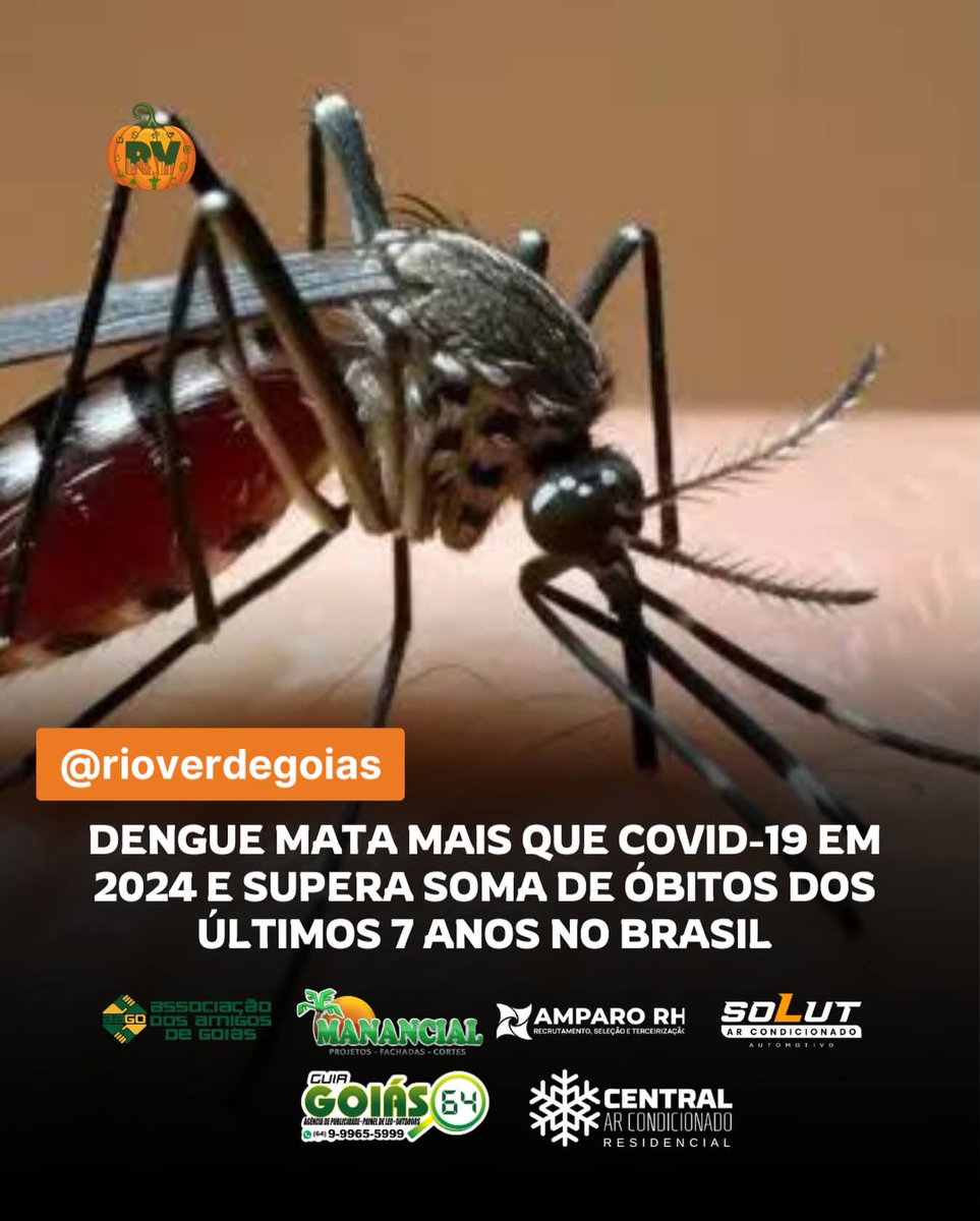 A dengue está matando mais que o Covid.
Já pode chamar o Lula de genocida, militância?