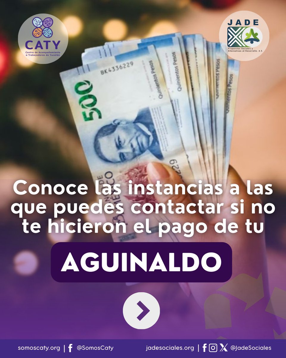JadeSociales tweet media