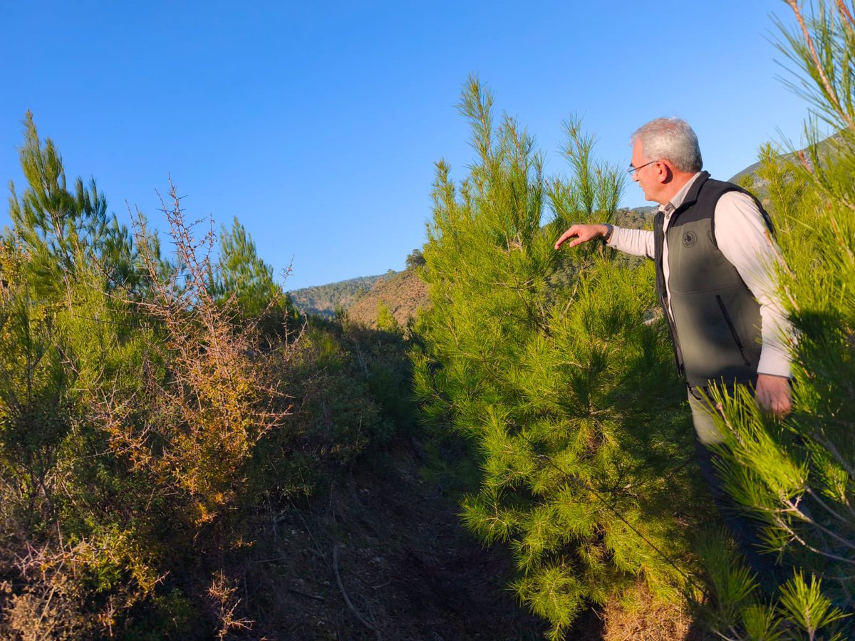 Bekir KARACABEY tweet media