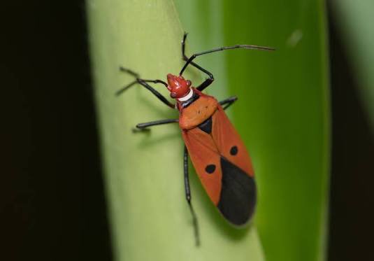 sdkdele's tweet image. You really smell good 

Me:😂