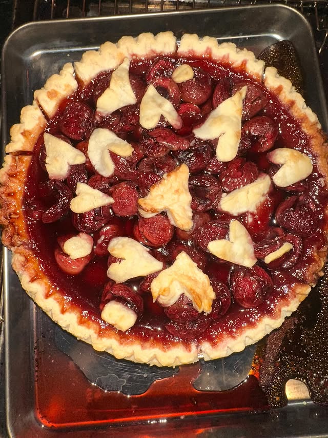 Emily Farash tweet media