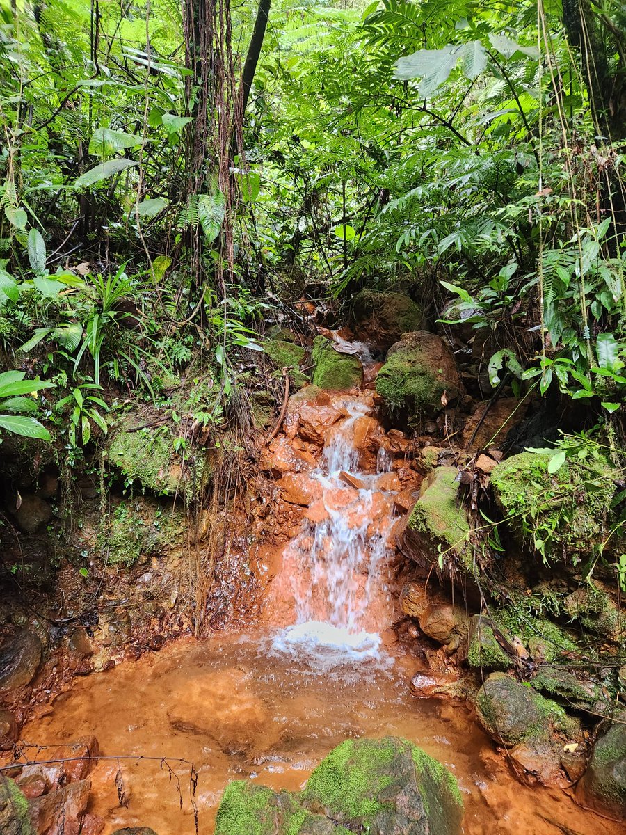 At Kuma, mineralized and highly altered outcrops and float found in the streams and rivers within and surrounding the mapped lithocap.

There’s potential for significant, untested porphyry systems on the tenement.

$SCU.C