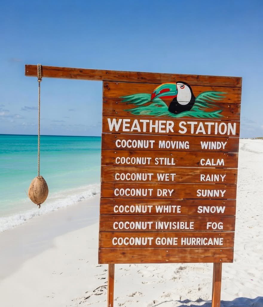 MattDevittWX's tweet photo. Weather forecasting in Florida. 🤣🤣 https://t.co/X2ElUn368V
