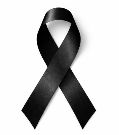 Club Natació Tàrraco tweet media