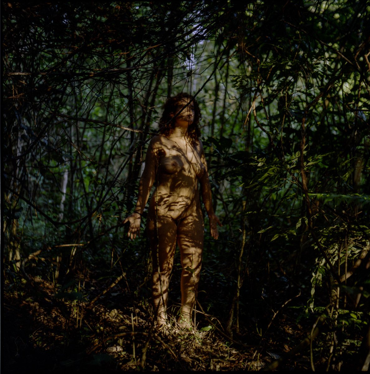 Yashica MAT LM + Portra 800