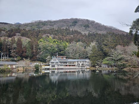 abooashar96's tweet image. おはよう、ことよろ