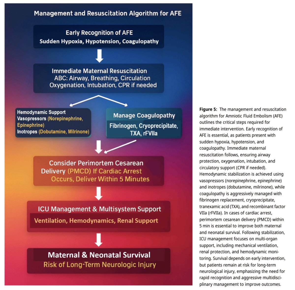 Embolia de líquido amniótico: una revisión integral del diagnóstico y el tratamiento. 

J. Perinat. Med. 2025; aop

doi.org/10.1515/jpm-20… 

#anesthesia #pregnacy #ginecology #obstetric #pediatric #medicine #amniotic #airway