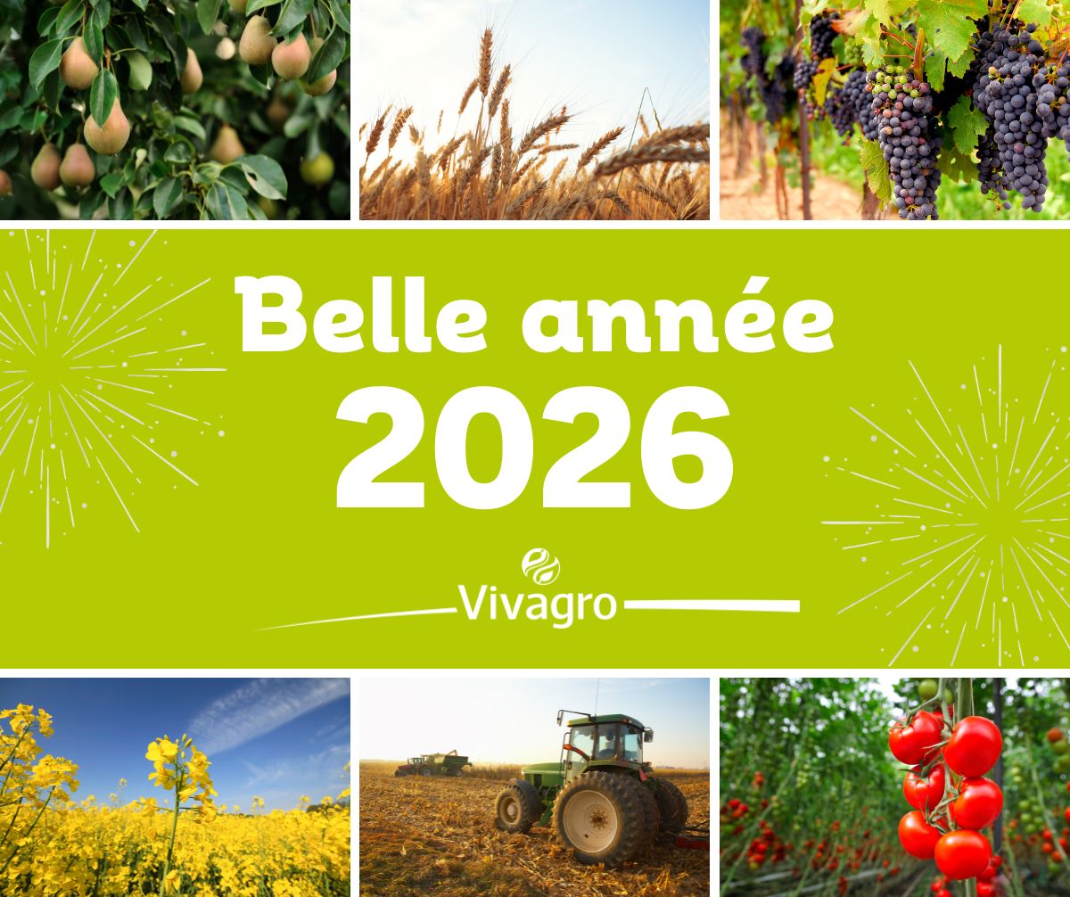 𝗧𝗼𝘂𝘁𝗲 𝗹’𝗲́𝗾𝘂𝗶𝗽𝗲 𝗩𝗶𝘃𝗮𝗴𝗿𝗼 𝘃𝗼𝘂𝘀 𝗮𝗱𝗿𝗲𝘀𝘀𝗲 𝘀𝗲𝘀 𝗺𝗲𝗶𝗹𝗹𝗲𝘂𝗿𝘀 𝘃œ𝘂𝘅 𝗽𝗼𝘂𝗿 𝟮𝟬𝟮𝟲 ! ✨

Nous souhaitons une excellente année à l’ensemble de nos collaborateurs, partenaires, clients, et plus largement à tous les acteurs du monde agricole. 🌱