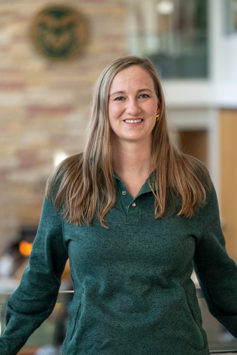 Colorado State News tweet media