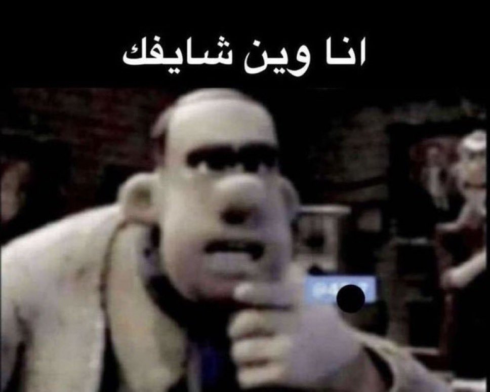 قلتش فيفا
