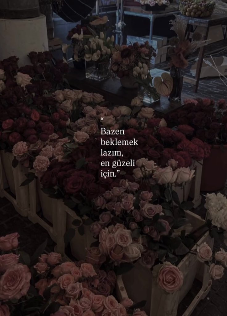 ꜰᴇʏᴢᴀ (@zarif_lisann) on Twitter photo 