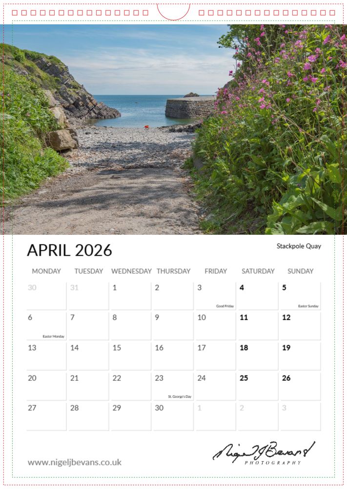 Nigel J Bevans Photo tweet media