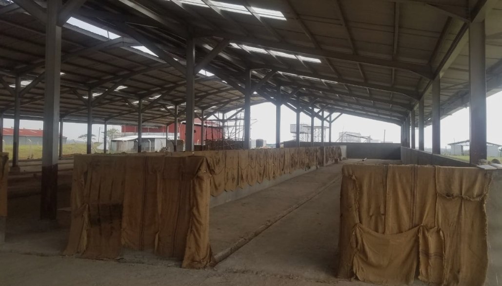 Daltrev Co Ltd Uganda tweet media