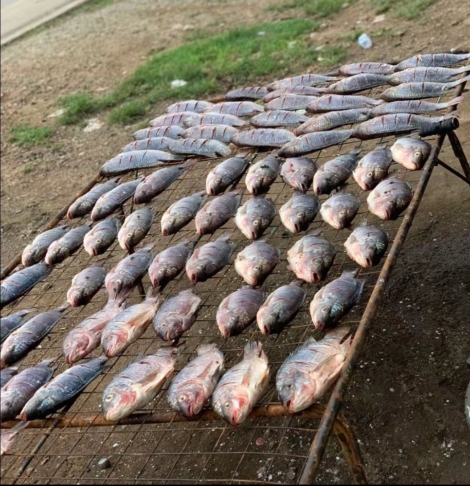 JfredTourist's tweet photo. While on a Ugandan safari, Not only adventure is possible but a discovery on the numerous businesses also encountered just like the fished, ready to be fried as another street vendered fast food. Commonly encountered in Katunguru, Queen Elizabeth Np #visitkasese #destinationug https://t.co/EK6LmGS2Is