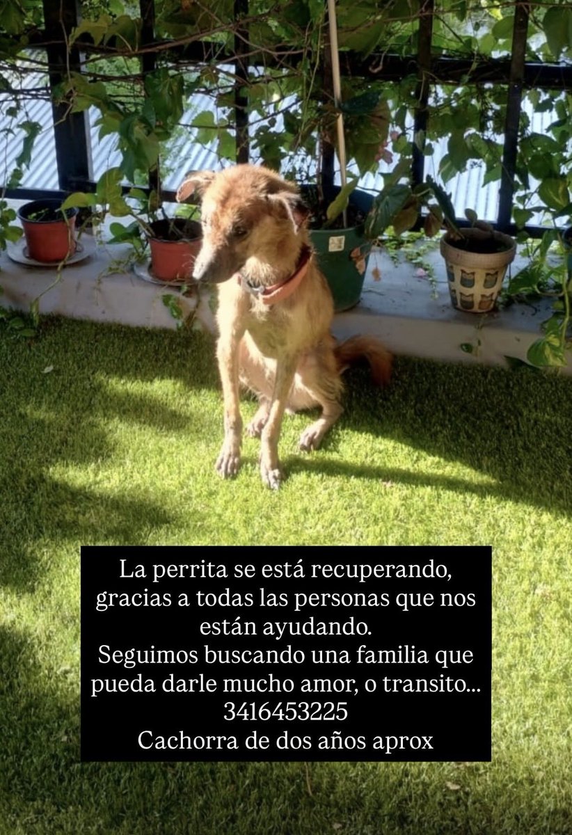 maquivega's tweet photo. https://t.co/m9FnZJkpps