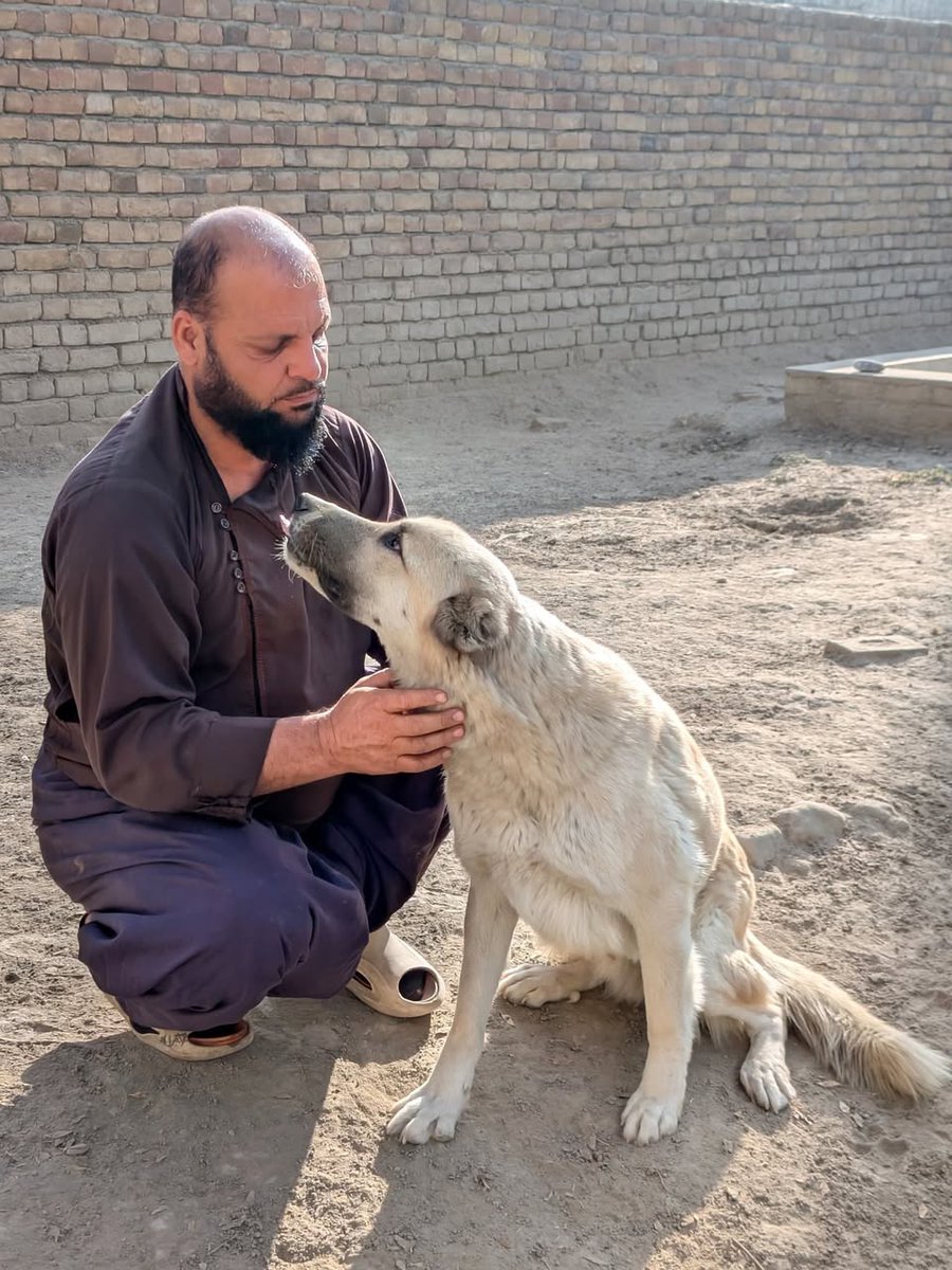 KSARshelter's tweet image. 😢 Our clinic team is working so hard right now with some very sick animals--we need all the good thoughts and wishes you can send us. 😢