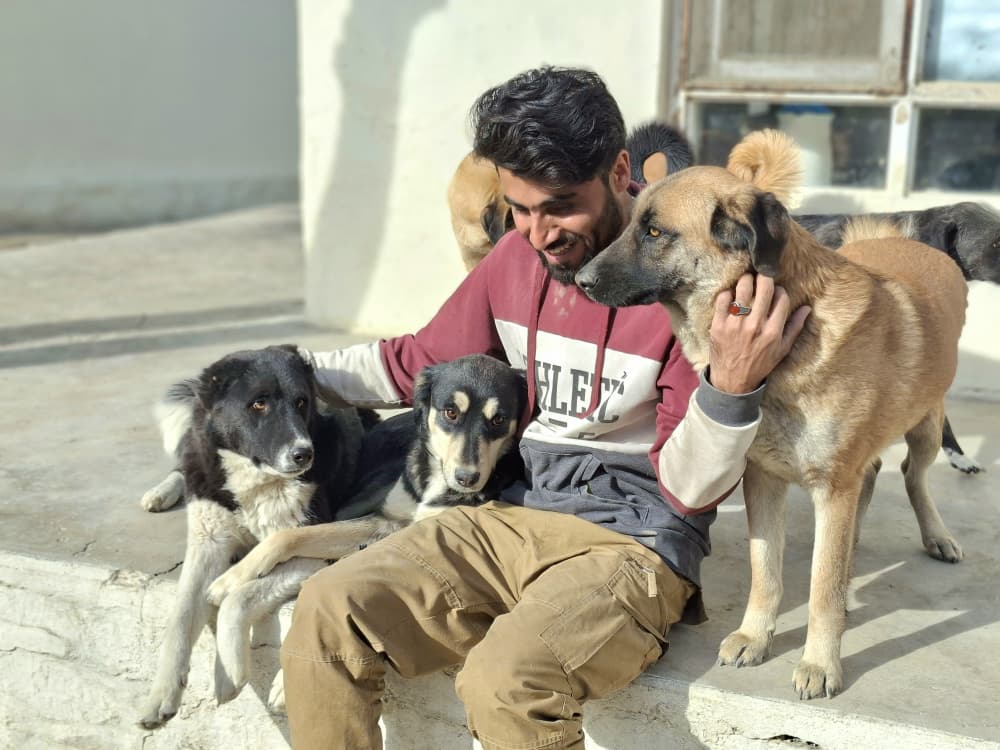 KSARshelter's tweet image. 😢 Our clinic team is working so hard right now with some very sick animals--we need all the good thoughts and wishes you can send us. 😢