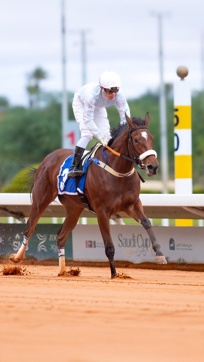 Abdullah AlMonif | عبدالله المنيف tweet media