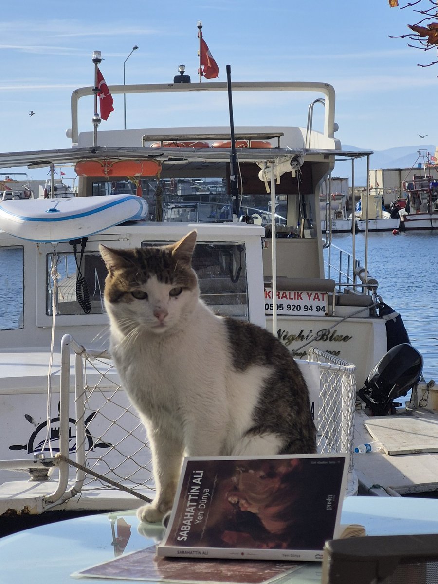 esra başoğlu tweet media