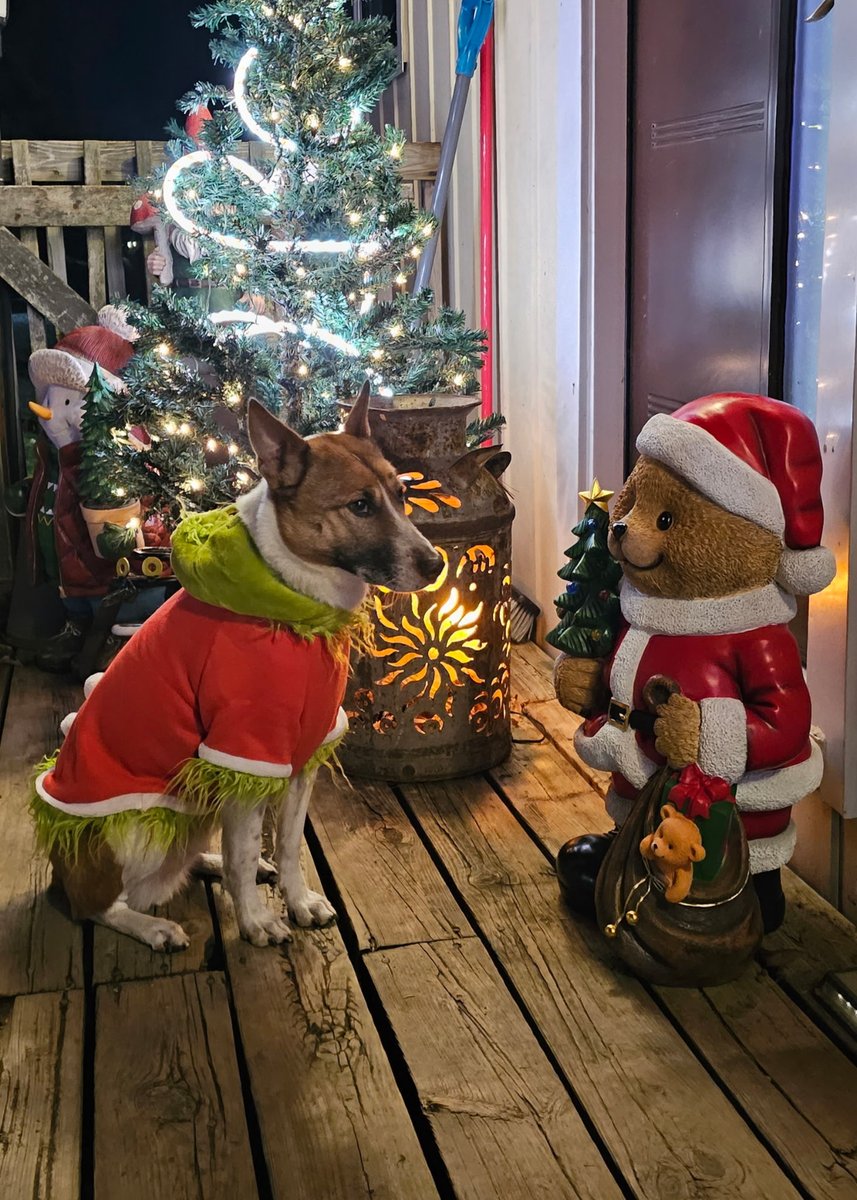 To all our clients, colleagues and friends from all of us at Nevcon Accounting Services ... Wishing you all a Merry Christmas!