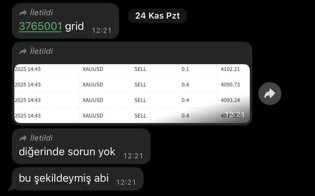 010 🇹🇷 tweet media