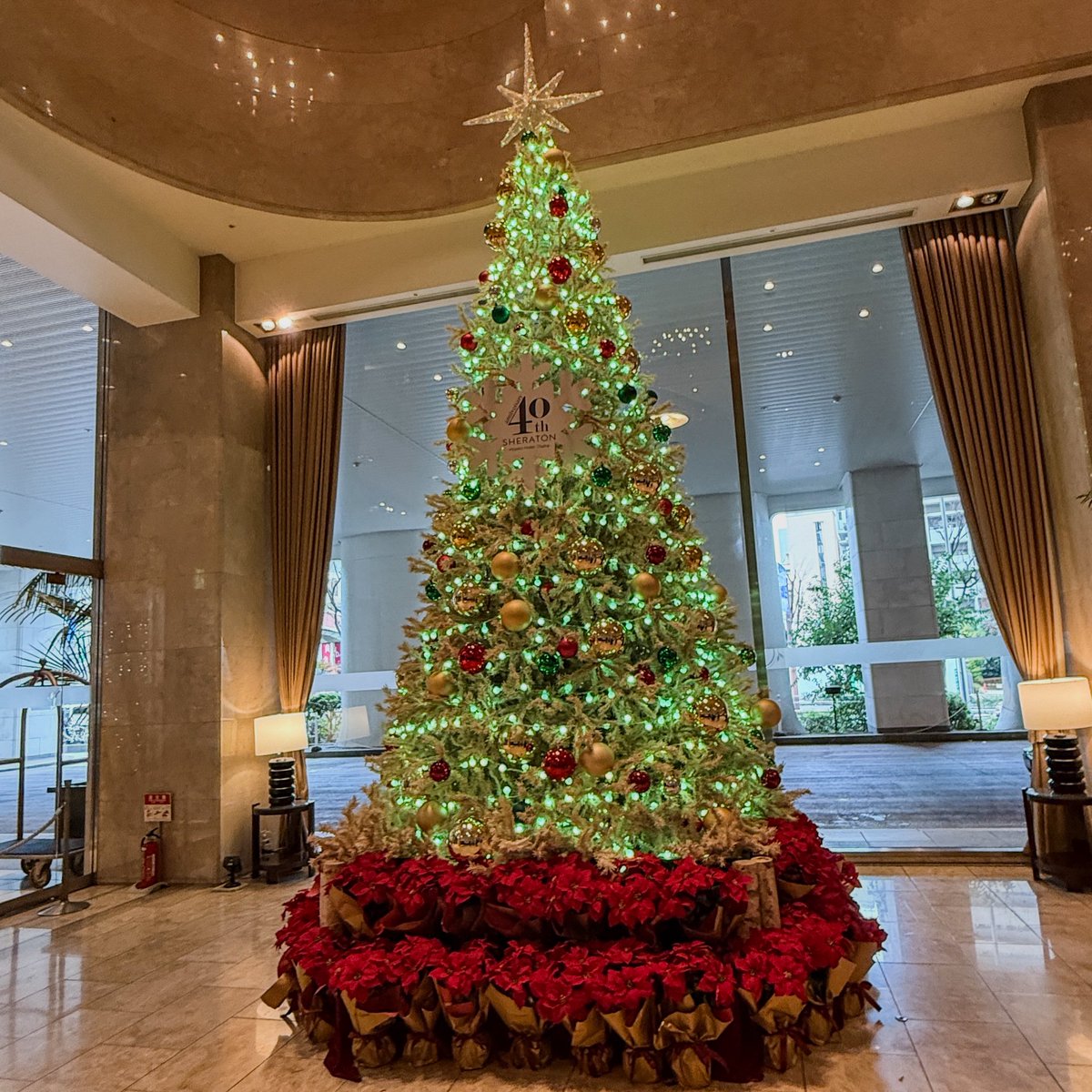 今思い出しても、本当に夢のような時間でした。
SNSへの投稿は禁止とおっしゃってたので、心の中に大切にしまっておこうと思います。
「松巳会」の皆様、本当にありがとうございました。
#松巳会 #松平健