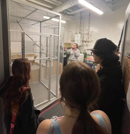 yadkincoschools's tweet photo. Students in Mrs. Bridges’ Horticulture class at FHS recently made wreaths, while Animal Science students took a field trip to the Greensboro Science Center and spent time behind the scenes with Veterinarians and Vet Techs https://t.co/IOg7fX6DF7 #CTEforNC https://t.co/77mKG2ppyO